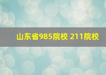 山东省985院校 211院校